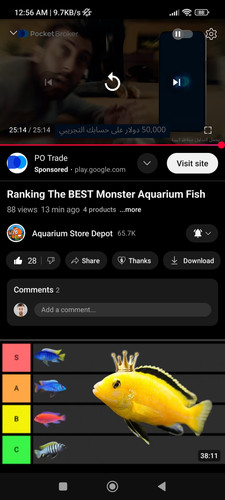 Screenshot 2025 05 21 00 56 26 412 com.google.android.youtube.jpg