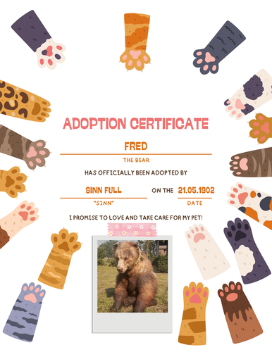 Colorful Cute Kid Cat Adoption Certificate.png