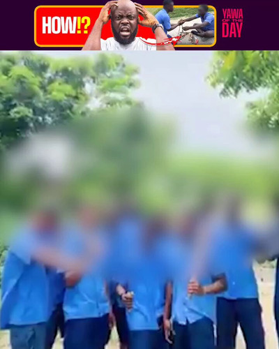 7BjR wSUlPFudnts.jpg