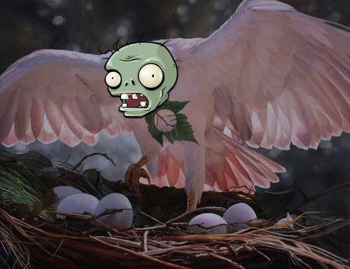 ndh.png