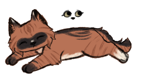 IMG 3881.png