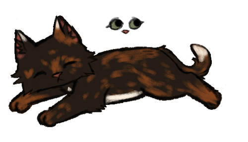IMG 3882.png