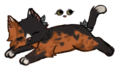 IMG 3879.png