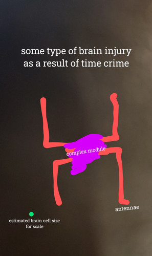 1000008339.jpg