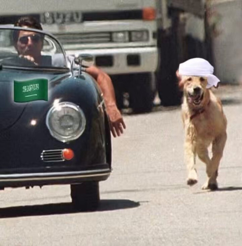 PtlOM7W1FKp 8RpS.jpg