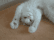 Anigif_sub-buzz-10340-1659983661-2.gif