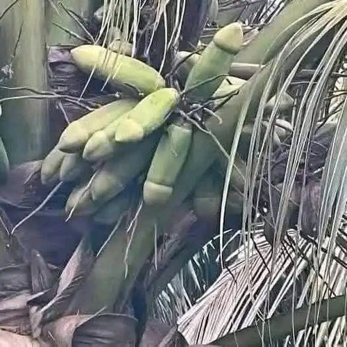 GrRj4ZgWAAAnvkr.jpg