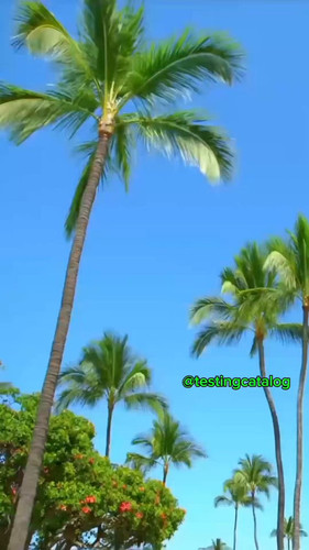 3HdkcVqErz LNP7R.jpg
