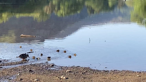 kCSaCEpA g KaMdn.jpg