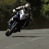 772d10c3d5872a678496f8e82785ab3c.gif