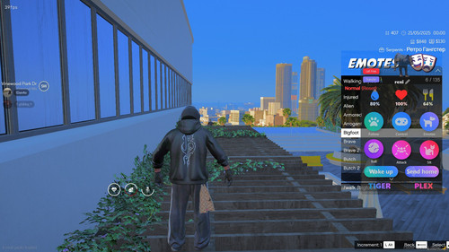 FiveM GTAProcess Lu4dasNDdm.jpg