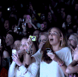 fan concert.gif