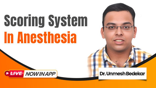 WhatsApp Image 2025 05 15 at 1.53.00 PM.jpg