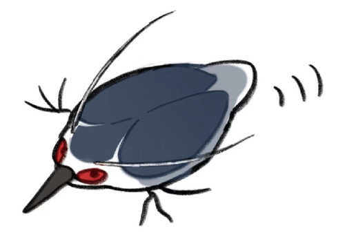 IMG 20250521 142829.jpg