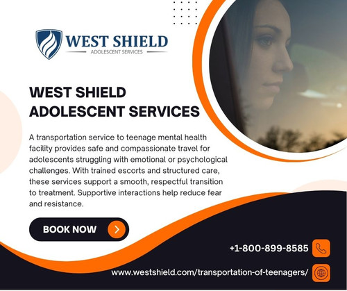Transportation Service to Teenage Mental Health Facility.jpg