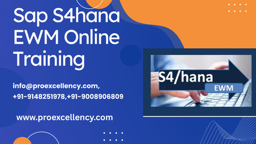 Complete SAP S/4HANA EWM Online Training – End-to-End Warehouse Process.jpg