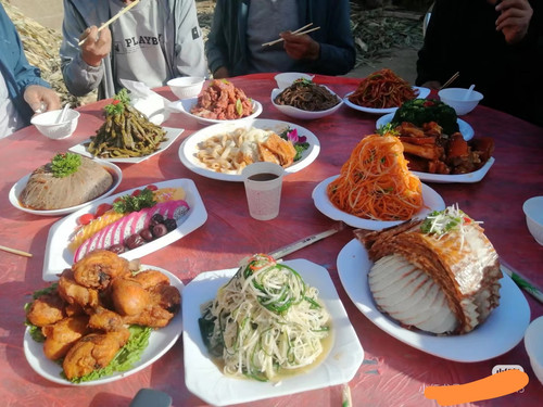 Camera XHS 17478005619781040g2sg3170ncji03m705pangkigl0qqsh9f9ao edit 174004518655739.jpg