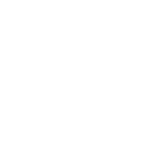 shopping bag.png