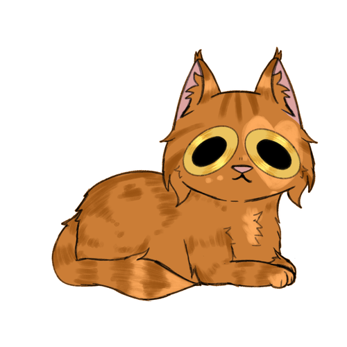 IMG 3872.png