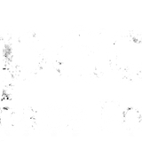 1000126162