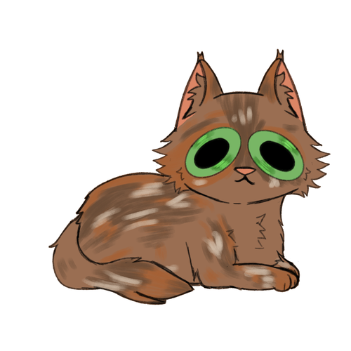 IMG 3873.png