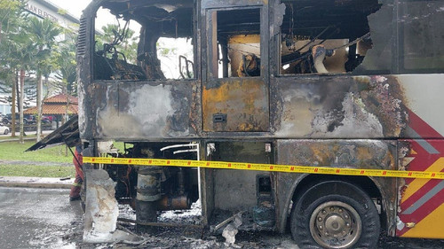 6154261477868029750 1747814047.jpg