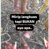Screenshot 20.png