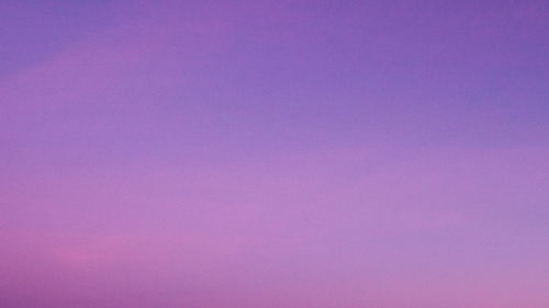 Untitled design (4).png