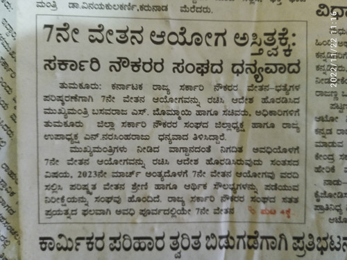 IMG 20221122 111619..jpg