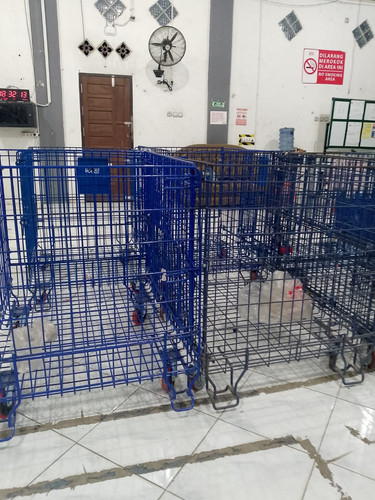 WhatsApp Image 2025 05 21 at 18.33.03.jpg