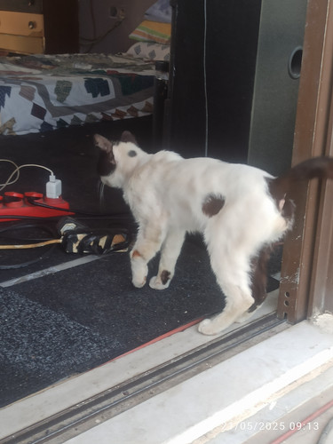 IMG 20250521 091341.jpg