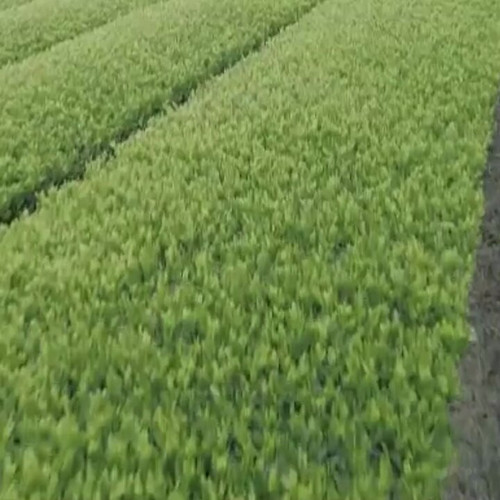 j8 e6irF5cnUFBYS.jpg