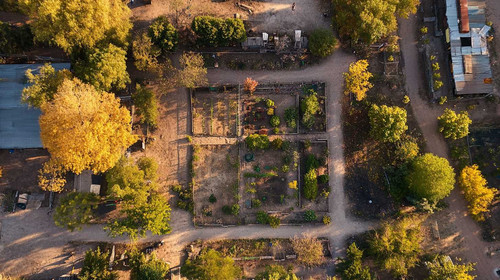 bacardo01 31884 From Barren to Blossoming The Journey of Tran d73af59a eb15 4139 bf71 d319696f9d08 1.jpg