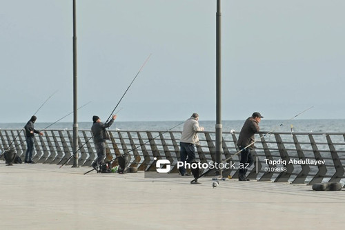 YQHgFCY2ViOXTmlBs0KaBI19i3QmvbF2dWakwpMYNVU8CH1kP45xmjBsPz6JWVMeqm6wpYNDE iVKpdYHYBGt1YZzYRQlQoSYBHI.jpg