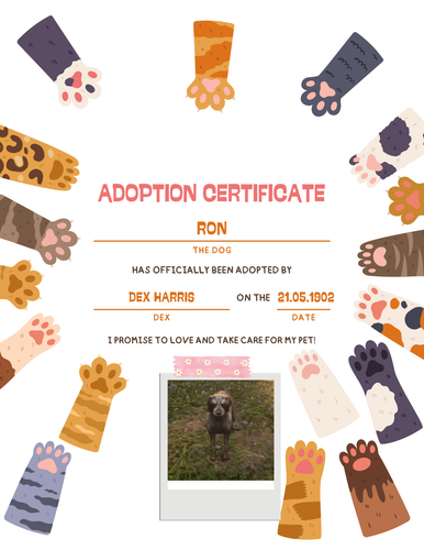 Colorful Cute Kid Cat Adoption Certificate.png