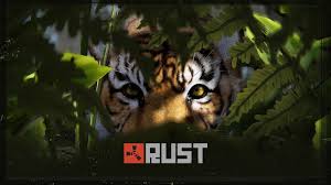 images?q=tbn:ANd9GcStzgjgr3RBqWRhxQFoLHOkub1J6HA1 c4DdQ&s.jpg