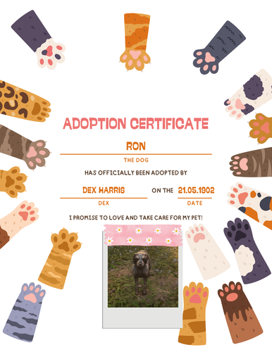 Colorful Cute Kid Cat Adoption Certificate2.png