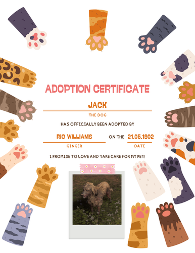 Colorful Cute Kid Cat Adoption Certificate.png