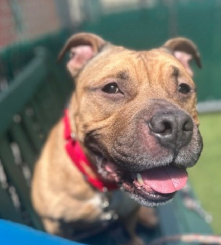 Gq2j9 KWcAACNuG?format=jpg.jpg