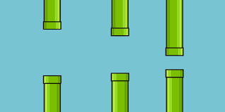 FLPY BIRD PPE PNG.png