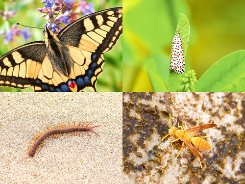 ' Glorified is The  All-Mighty Creator '.jpg