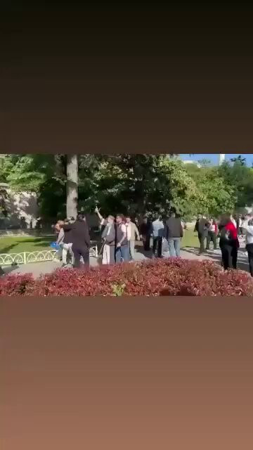FWMUKvlOdCapMvjN.jpg