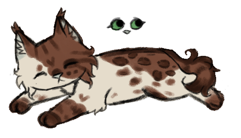 IMG 3883.png