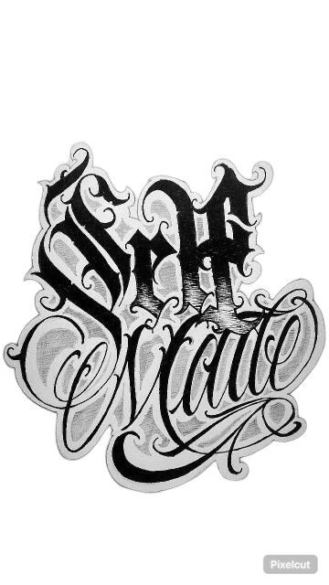 IMG 9972.png