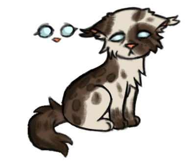 IMG 3888.png