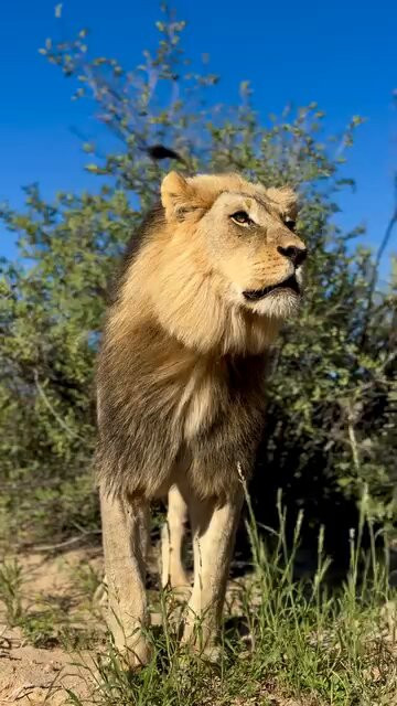 Z98K9Zen5 V47yaR.jpg