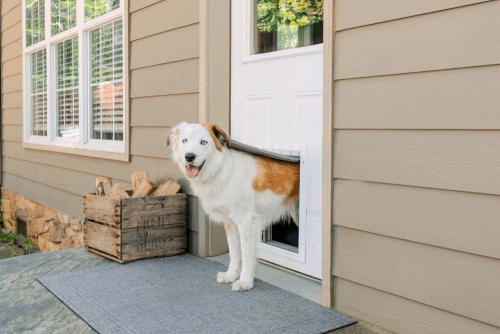 Built In Doggie Door for French Door Homes.gif