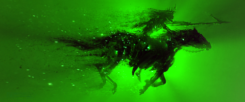 skeletonrider Green.png