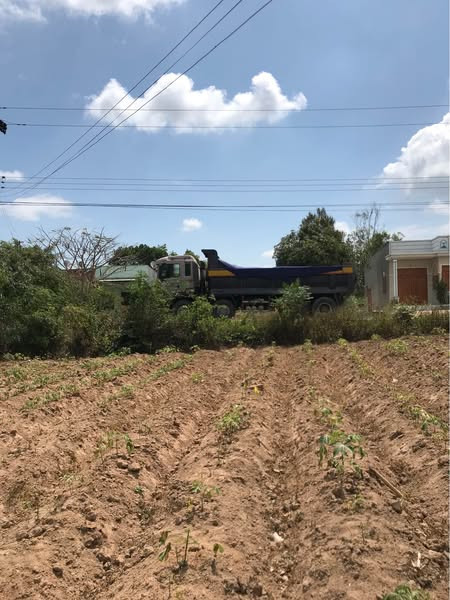 492839897 3049389481904195 6497722558681161732 n.jpg