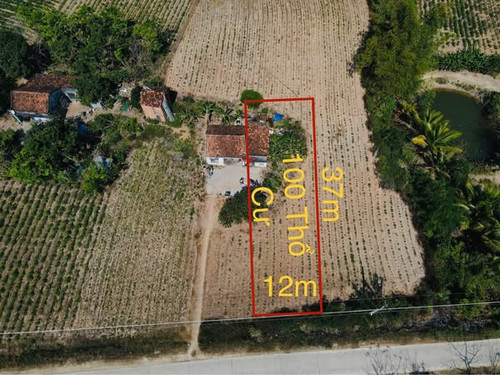 493274247 3049389478570862 4940519080032163251 n.jpg